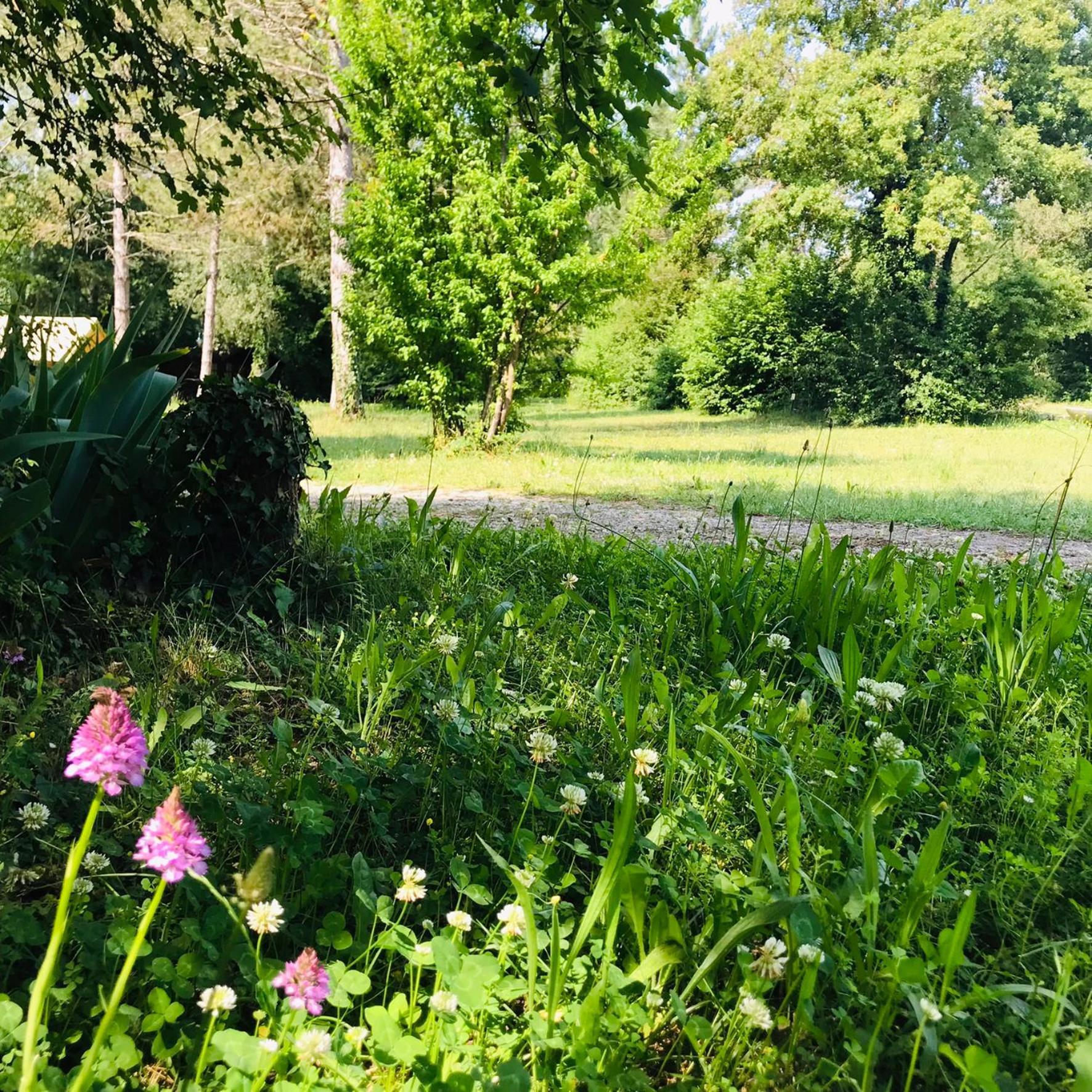 Camping La Vaugelette - Drome Montclar-sur-Gervanne Kültér fotó